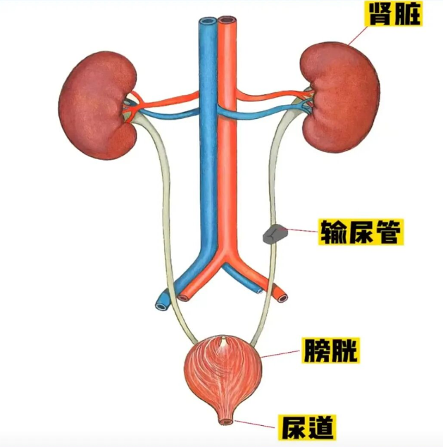 图片 2